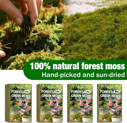 Miniatura 2 de ZeeDix 1.1 lb de musgo forestal para plantas de interior - Musgo de orquídea seco para replantar, musgo sphagnum verde natural para plantas