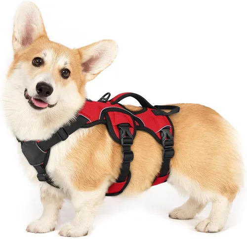 rabbitgoo - Arnés para perro a prueba de fugas, arnés para mascotas acolchado suave de cuerpo completo, chaleco reflectante ajustable sin tirones