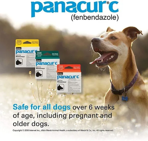 Miniatura 2 de Panacur C Desparasitante canino, peso neto 0.44 onzas, contenido del paquete tres, paquetes de 0.14 oz (4 paquetes))