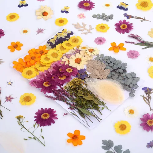 Miniatura 4 de 100 piezas de flores y hojas secas prensadas reales, herbario de plantas naturales para moldes de resina DIY, fabricación de joyas y manualidades
