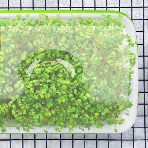 Miniatura 5 de Bandeja de germinación de semillas con orificios de drenaje, bandeja de germinación de semillas sin BPA, bandeja de vivero, gran capacidad sin