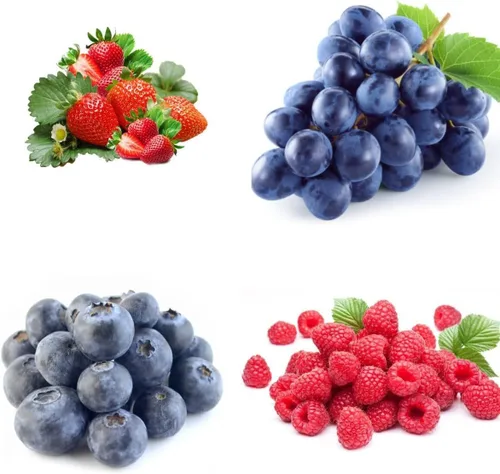 Miniatura 2 de Más de 1000 semillas de frutas mixtas para plantar, fresa, frambuesa, arándano y uva, frutas frescas, empaquetadas individualmente