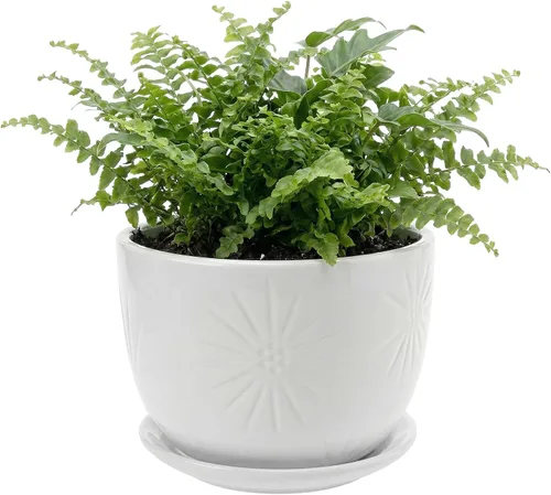 Miniatura 10 de MyGift - Maceta redonda de cerámica amarilla de 17,78 cm con orificio de drenaje y platillo adjunto, moderna y decorativa, con relieve