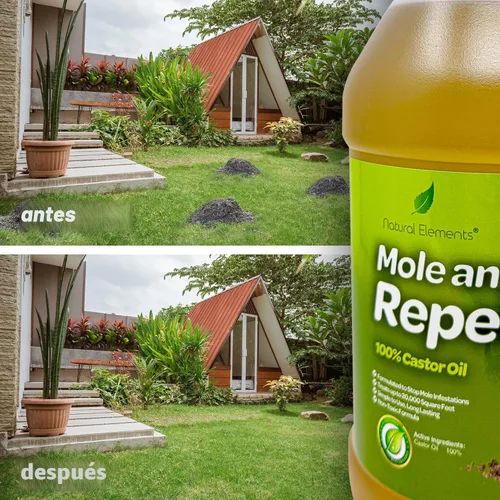 Miniatura 4 de Natural Elements Repelente de topos y campañoles 100% aceite de ricino Seguro para mascotas y no tóxico (4 galones)