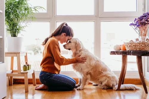 Miniatura 4 de Nutri Chomps Masticables para perros, sabor a pollo real - Giros y trenzas