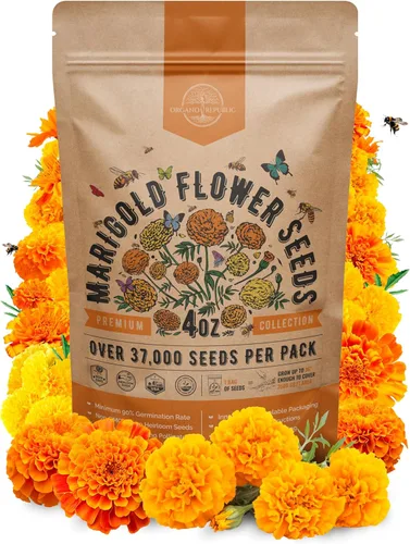 Miniatura 21 de Paquete de Semillas de Mezcla de Girasol 4 oz - Más de 5,100 Semillas de Girasol Reliquia No-GMO para Plantar, Flores Anuales en Paquete de Semillas