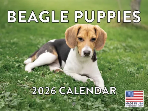 Miniatura 105 de Calendario de pared mensual 2025 Great Dane de 12 meses, fabricado en Estados Unidos