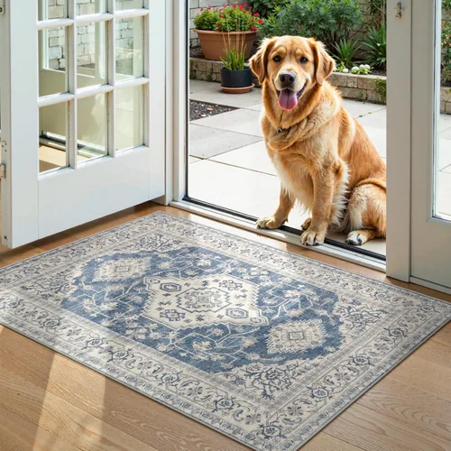 Lahome Alfombra oriental lavable de área pequeña, 2 x 3 pies, para entrada, cocina, ultra fina, suave, tapete antideslizante para puerta de Azul