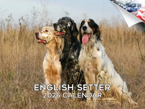 Miniatura 102 de Calendario 2025 2026 de cachorros Cocker Spaniel - Calendario mensual de pared de raza de perro - 12" x 24" abierto - Papel grueso sin sangrado