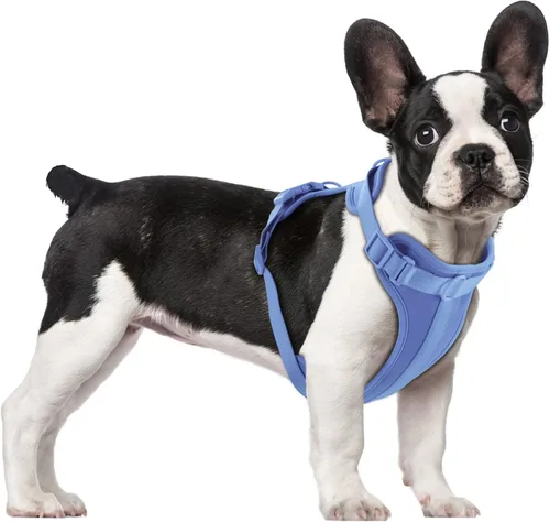 Miniatura 10 de Arnés ligero para perro sin tirones: arnés ajustable y duradero de malla transpirable con cojín suave y cómodo, para perros pequeños, medianos y Lila