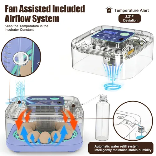Miniatura 3 de Incubadoras para incubar huevos, incubadora inteligente de huevos con control de humedad y temperatura y girador automático, 360° View Incubadora De