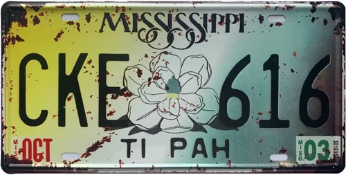 Miniatura 24 de Placa de matrícula de Wyoming de aluminio, placa decorativa de automóvil novedosa, placas de matrícula de 12"x6" para el frente del automóvil, placa