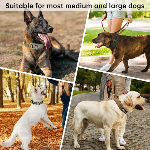 Miniatura 6 de Collar táctico para perro con asa – Collar de entrenamiento de nylon ajustable militar para perro con hebilla de metal resistente para perros Verde-1