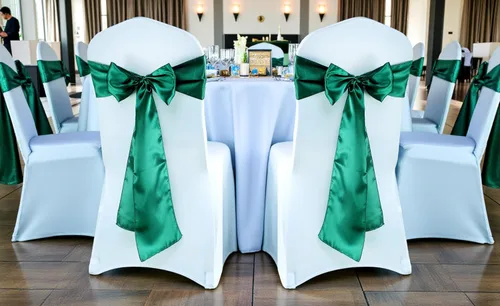 Miniatura 17 de mds - Lote de 10 lazos de satén para sillas de boda y eventos, para decoración de fiestas, 30 colores, Satin, 10 Verde oliva