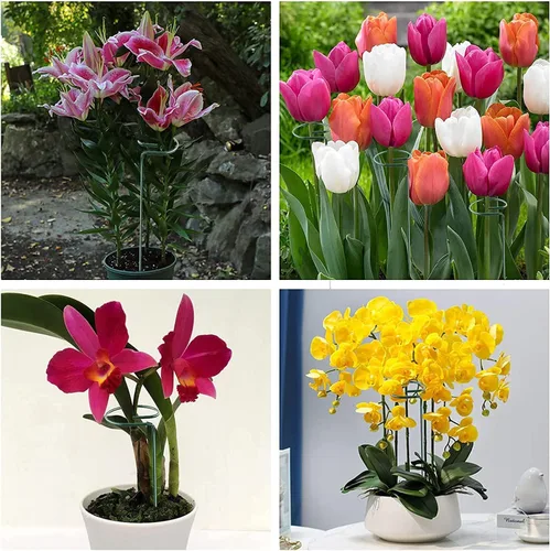 Miniatura 8 de Joyhalo Paquete de 20 Estacas de Soporte para Plantas de 36 Pulgadas, Estacas para Plantas, Estacas para Flores con 24 Lazos de Torsión, Palos