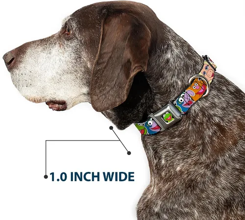 Miniatura 6 de Collar de perro hebilla de cinturón de seguridad Muppets Caras de cerca negro 9 a 15 pulgadas 1.0 pulgadas de ancho