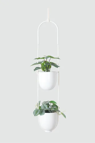 Miniatura 5 de Maceta colgante de metal para plantas de interior y exterior, soporte para plantas colgantes de pared y techo, para plantas suculentas, helechos