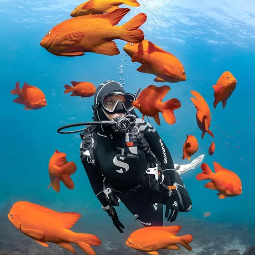 Miniatura 3 de Máscara de buceo, esnórquel y superficie para buceo solo ScubaPro