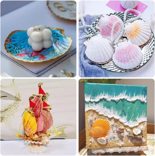 Miniatura 8 de YUJUN 18 conchas de vieira naturales grandes, de 2 a 3 pulgadas, 4 a 5 pulgadas, conchas marinas blancas a granel para manualidades, pintura