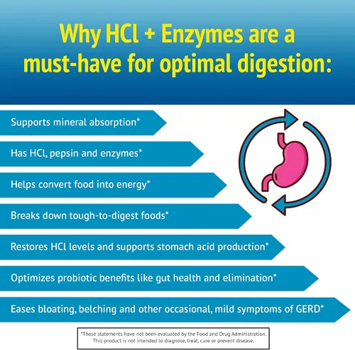 Miniatura 5 de Smidge™ HCl + Enzimas – Digestión – 120 Cápsulas