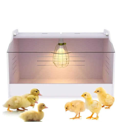 Caja para criadores de pollos con lámpara de calor, adecuada para pollos, patos, loros y lagartos (19 x 12 x 12 pulgadas)