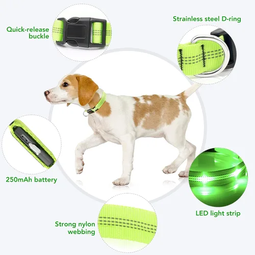 Miniatura 3 de Weesiber Collares de perro con luces LED recargables, luces reflectantes ajustables para perros para caminar por la noche (verde, S)