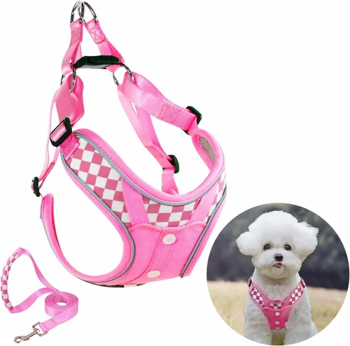Miniatura 17 de Arnés para perro con juego de correa, arneses para cachorros con acolchado transpirable para entrenamiento y carrera de perros pequeños (XS, gris)
