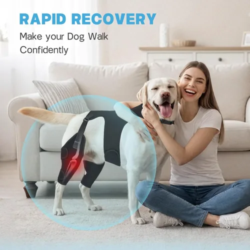 Miniatura 4 de Rodilleras para perro para pierna trasera, soporte ajustable para piernas con 2 estabilizadores, soporte de cadera para reducir el dolor, lesiones