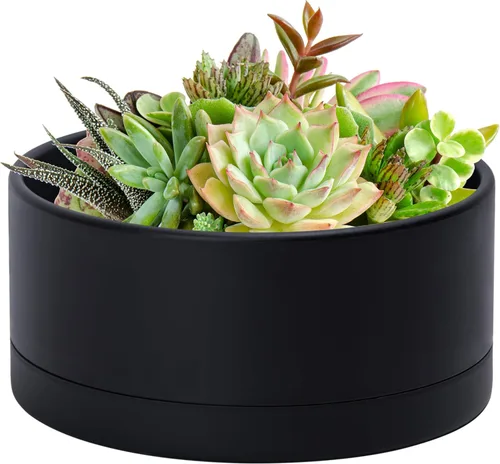 Miniatura 10 de D'vine Dev Maceta de 8 Pulgadas de Plástico Poco Profunda, Gran Maceta Redonda para Suculentas con Orificio de Drenaje y Platillo, Maceta Decorativa