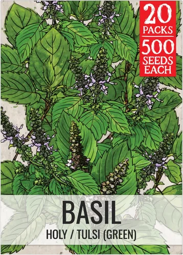 Miniatura 32 de Seed Needs Semillas de albahaca para plantar hierbas de albahaca tailandesa, sin OMG y semillas de hierbas sin tratar para cultivar un jardín