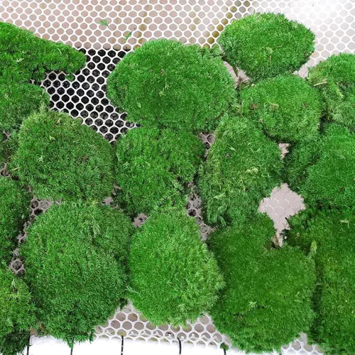 Miniatura 4 de Cojín Almohada Bollo de Musgo de Poste Preservado Verde Natural Decorativo Real Natural Kit de Bricolaje Arte de Jardinería Decoración de Pared