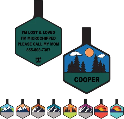 Placa de Identificación Silenciosa para Perro Personalizada con 5 Líneas de Grabado Profundo Personalizado, Etiqueta de Identificación con Nombre de