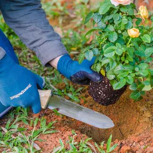 Miniatura 2 de Berry&Bird Hori Hori - Cuchillo de jardín multiusos con hoja afilada de doble filo de acero inoxidable de 7 pulgadas, cuchillo de tierra con funda