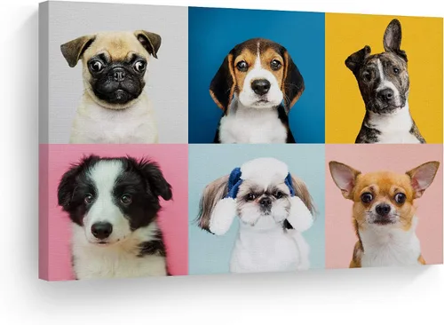 Miniatura 12 de Diseño de arte de la sonrisa Retrato de lindo Yorkie Yorkshire Terrier perro animal lienzo de pared impresión arte del dueño de mascotas amante