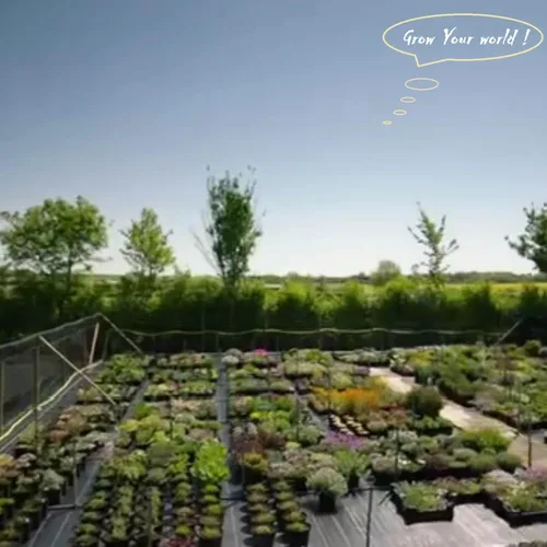 Miniatura 9 de Paquete de 5 bolsas gruesas de 1 galón para vivero, bolsas de cultivo de plantas (7 x 6 pulgadas), macetas de tela para macetas, bolsa de jardín