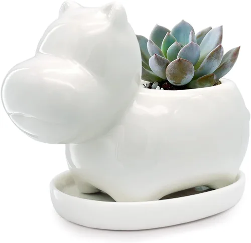 Miniatura 9 de GeLive Maceta de Cerámica para Suculentas de Pájaro Blanco, Maceta para Plantas de Animales, Florero, Caja de Alféizar de Ventana para Bonsái