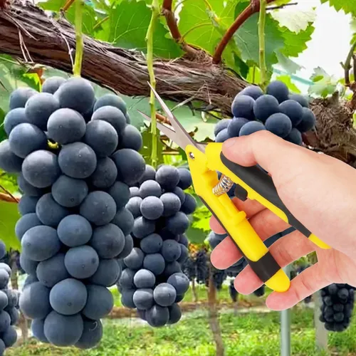 Miniatura 5 de Paquete de 20 tijeras de podar de jardín de 6.5 pulgadas, podadora manual con cuchillas de acero inoxidable, tijeras de jardinería de punta afilada