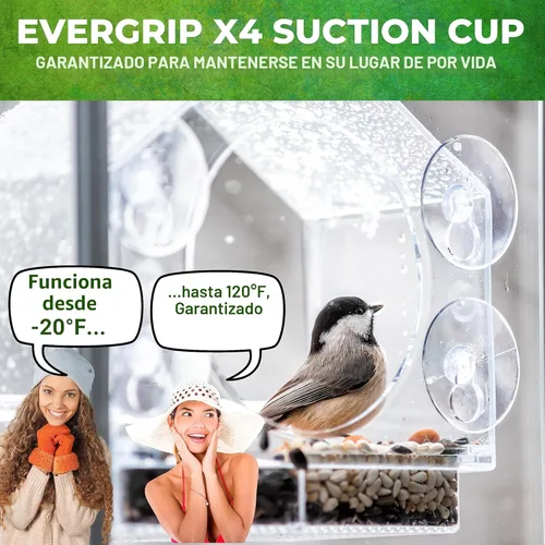 Miniatura 5 de Nature Anywhere Comedero para pájaros de ventana – Comedero acrílico transparente para pájaros para exteriores – Agarre de succión mejorado
