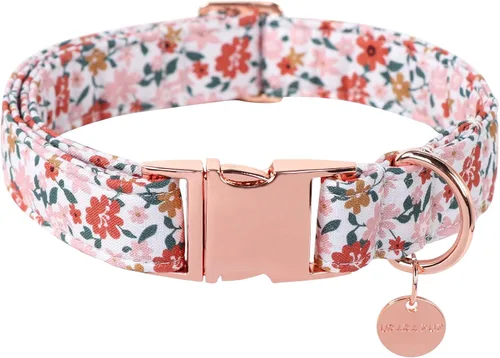 Miniatura 31 de Collar de perro de algodón de dinosaurio con hebilla de metal, collar de regalo para niñas o niños pequeños, medianos y grandes, lindos collares