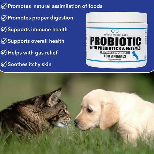 Miniatura 3 de Probióticos para perros y gatos – Formulado por veterinarios, fabricado en Estados Unidos, prebiótico y enzimático para mascotas en polvo