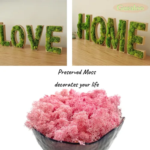 Miniatura 3 de Musgo Conservado de Gusaloo para Plantas en Maceta, Musgo Natural Fresco Verde de Reno para Artesanías, Decoración Floral de Pared, Decoración
