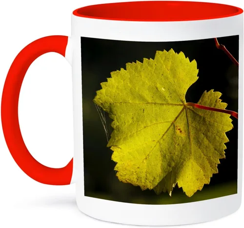 Miniatura 7 de 3dRose Estados Unidos, Oregon, Keizer, Pinot Gris hoja de viñedo - US38 RBR0742 - Rick A Brown 11oz taza negra de dos tonos