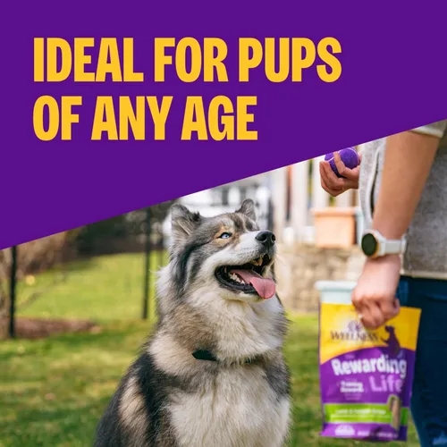 Miniatura 2 de Wellness Rewarding Life - Golosinas para perros, golosinas de entrenamiento, sin granos, pollo suave y cordero (bolsa de 6 onzas)