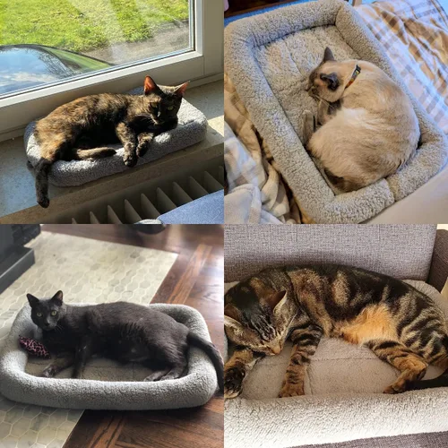 Miniatura 6 de Cama de algodón LESYPET para perros pequeños, lavable , gris