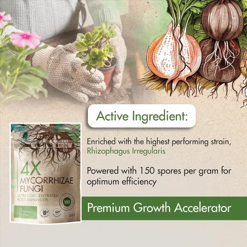 Miniatura 3 de Micorrizas 4X de 4 onzas para plantas – Inoculante de micorrizas – Potenciador de raíces y Myco concentrado, micorrizal superior para plantas, polvo