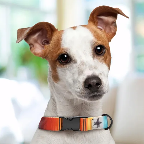 Miniatura 5 de Western Serape Dog Collar Personalized (X-Small 5/8")