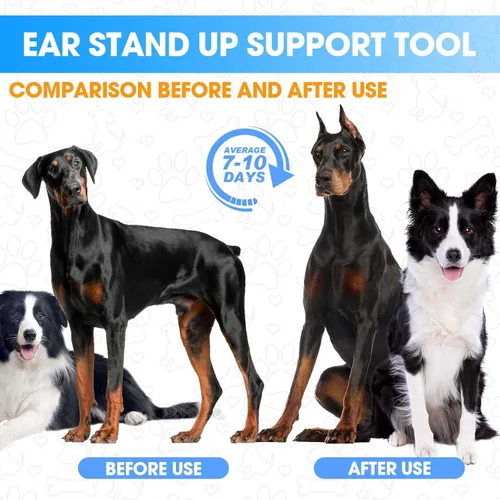 Miniatura 7 de Juego de 4 unidades de Doberman Oreja Kit para Doberman Pincher Samoyedo con 2 rollos adicionales de cintas para orejas de perro
