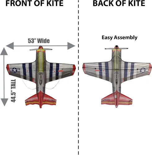 Miniatura 3 de WindNSun FlightZone Kites - Cometas de avión y transbordador espacial fáciles de volar con temática de aviación para niños y adultos