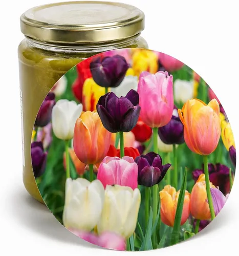 Andreas - Abretarros de silicona, múltiples tulipanes, agarre de tapa antideslizante de 6.25 pulgadas y pelador de ajos, apto para alimentos y Multi