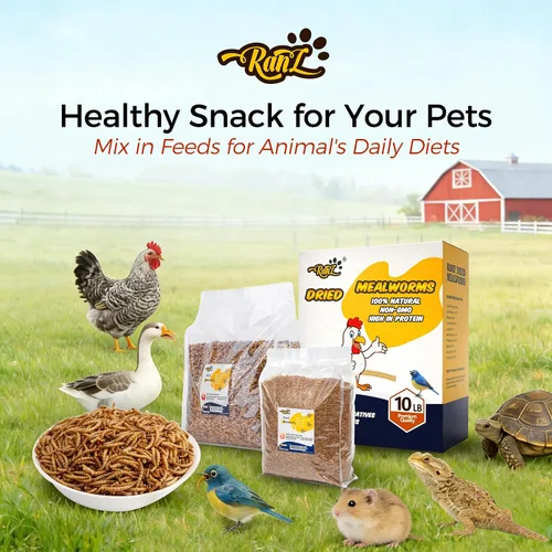 Miniatura 8 de RANZ 4.5 KG Gusanos secos sin OMGs para pollos, gusanos altos en proteínas, alimento premium para pollos, alimento perfecto para aves y golosinas